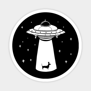 Funny Wiener Dog UFO Abduction Magnet